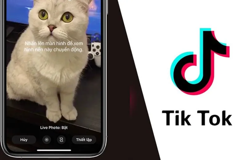 Cách lưu Video Tiktok khi không có nút lưu cập nhật mới nhất