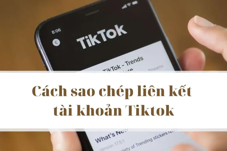 Cách sao chép liên kết Tiktok chia sẻ nhanh chóng