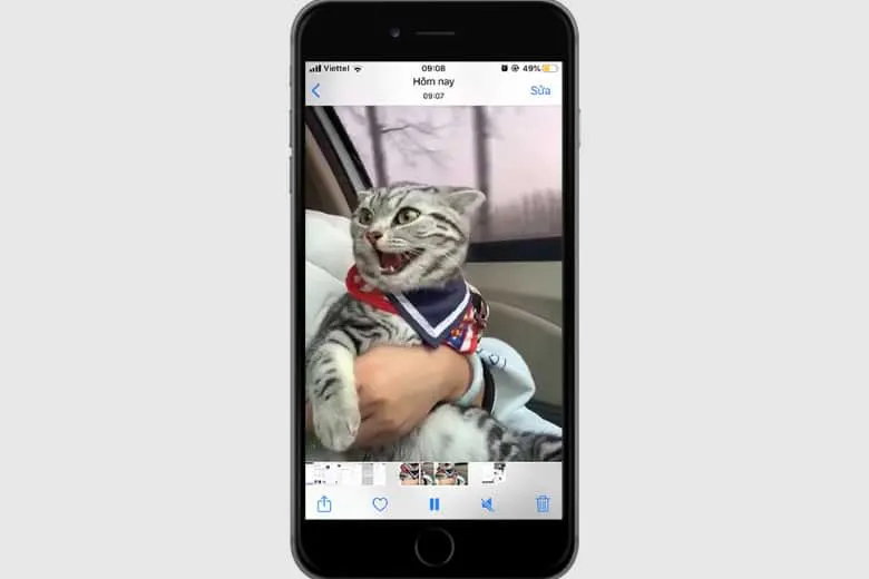 Cách tải và lưu Video trên Pinterest cho điện thoại iOS, Android và máy tính