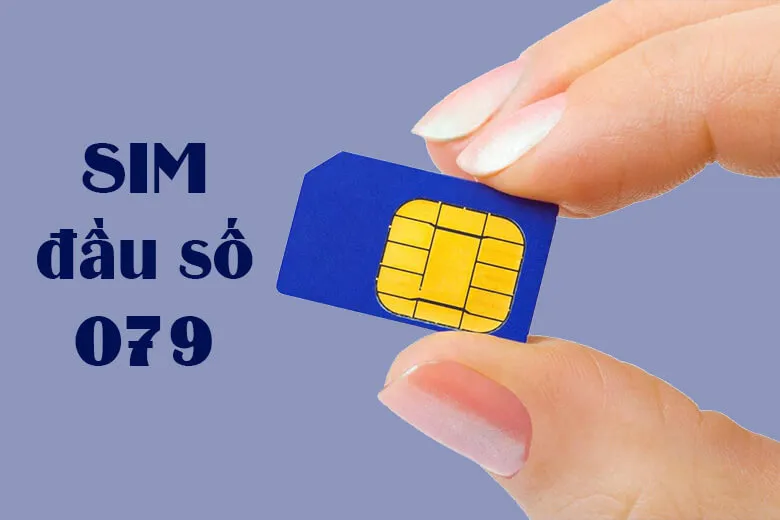 Đầu số 079 là mạng gì? Ý nghĩa của đầu số 079? Cách đặt mua Online