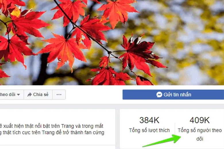 Hướng dẫn 2 cách lên tích xanh trên Facebook trang cá nhân, fanpage cực nhanh chóng