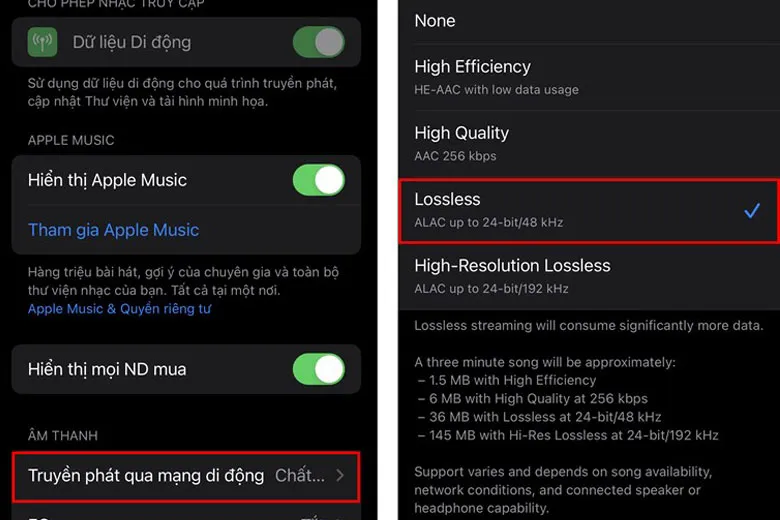 Hướng dẫn phát nhạc chất lượng cao trên iPhone phiên bản iOS 14.6 để thỏa sức tận hưởng âm thanh vòm cao cấp