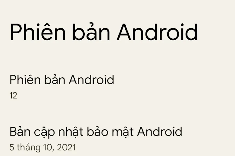 Mẹo Android 12: Cá nhân hóa màn hình chính smartphone cực dễ