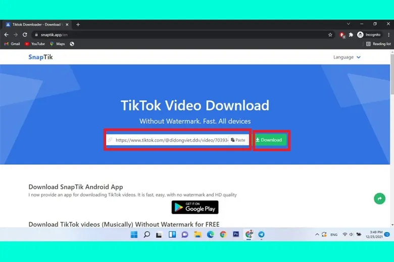 SnapTik App – Công cụ tải video TikTok không có logo, hình mờ watermark miễn phí