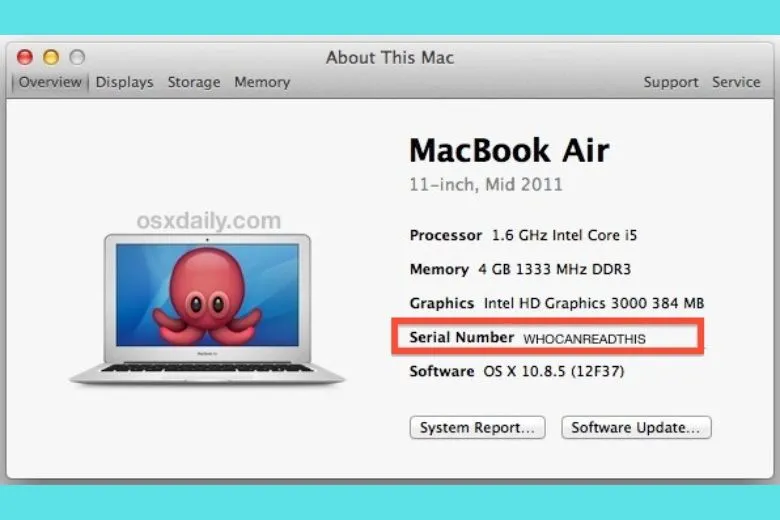 Tổng hợp 4 cách check Serial number MacBook để kiểm tra hàng chính hãng