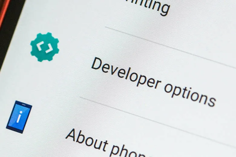 Tùy chọn nhà phát triển là gì? Cách bật/tắt tùy chọn nhà phát triển